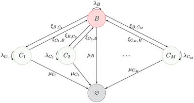 Fate of a Naive T Cell: A Stochastic Journey